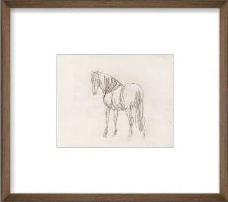 DecoRoom Curated Art | Equine Impression III