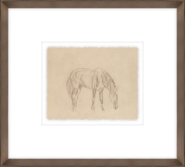 DecoRoom Curated Art | Equine Impression I