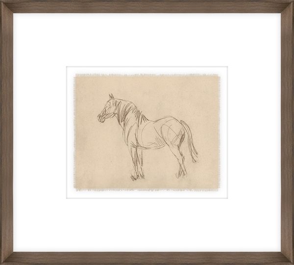 DecoRoom Curated Art | Equine Impression IV | 20” x 18”