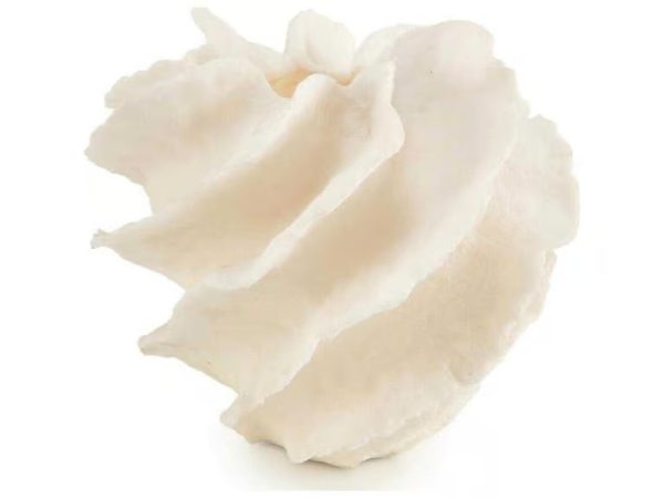 John-Richard | Diagonal Ruffle Vase |