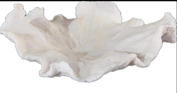 Floating Wave Bowl